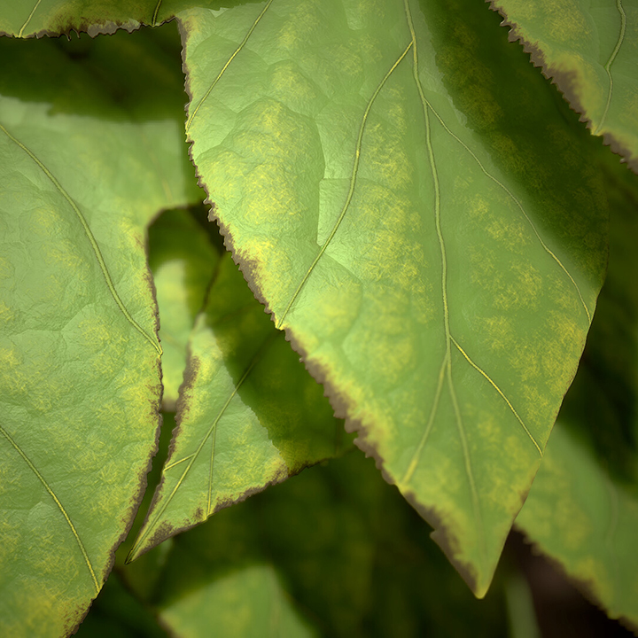 Leaf Generator